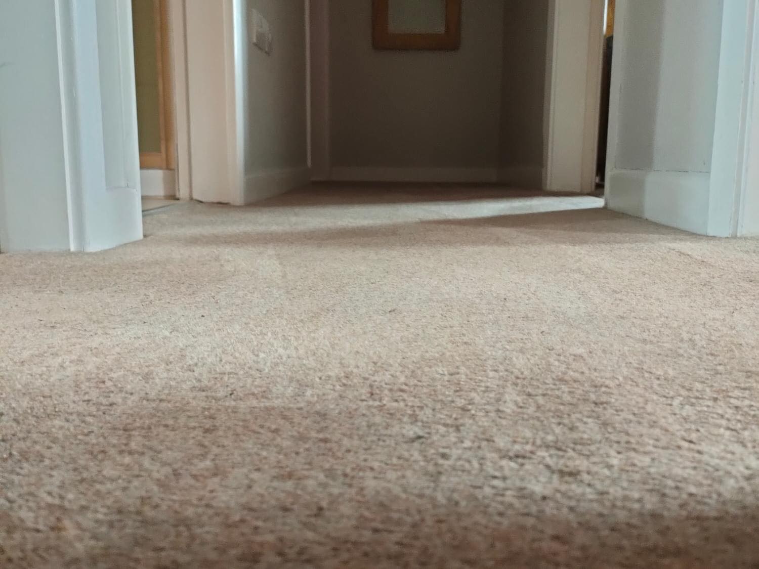 professional carpet cleaning Newbold Verdon
