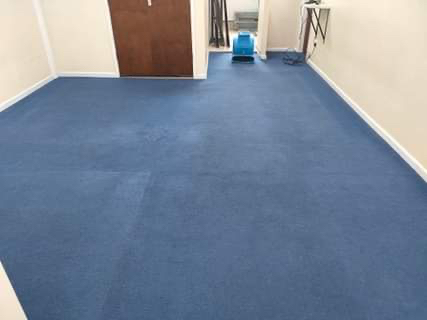 carpet cleaning Stoke Golding